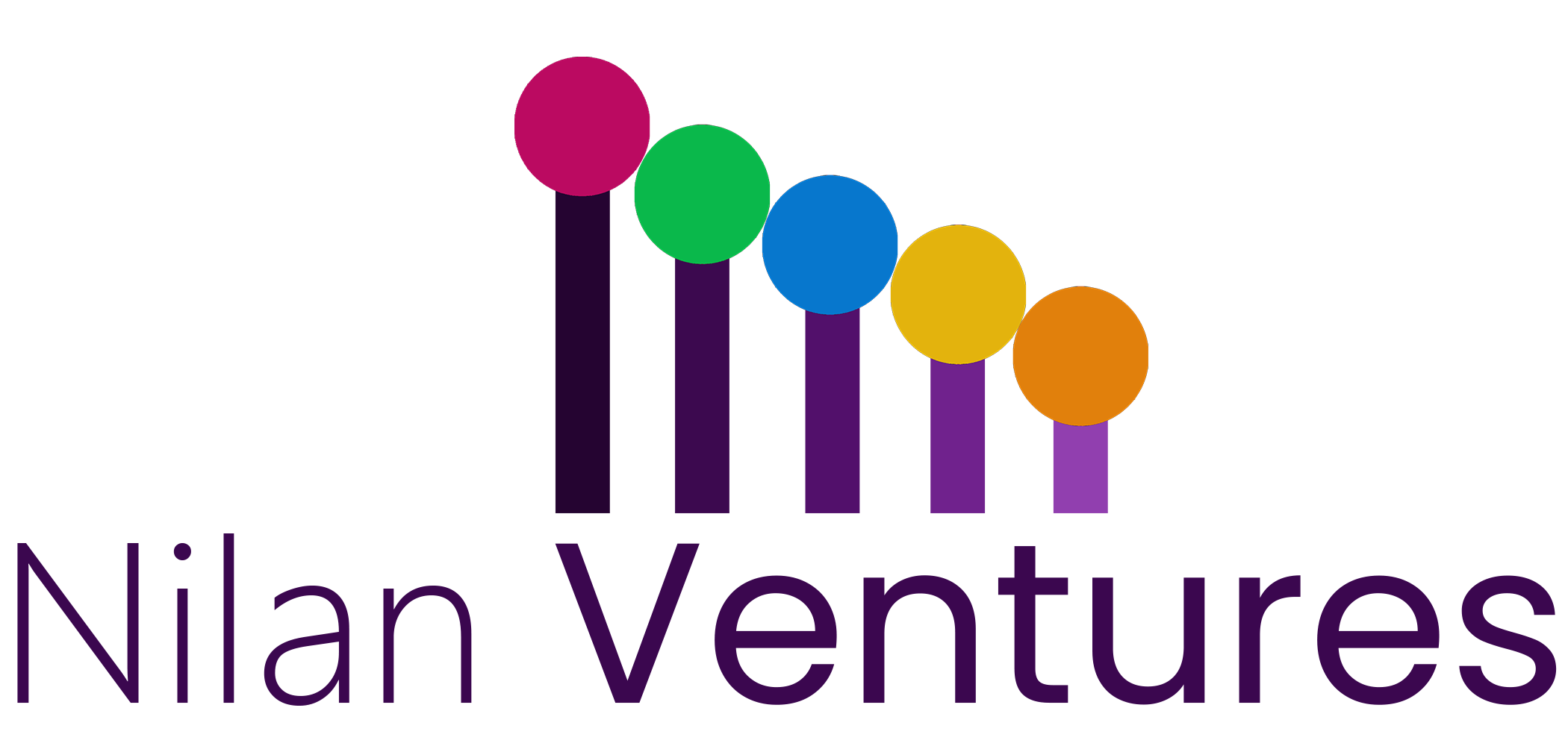 Nilan Ventures Logo